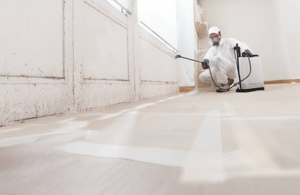 24/7 Emergency Mold Remediation experts in Mount Holly, NJ